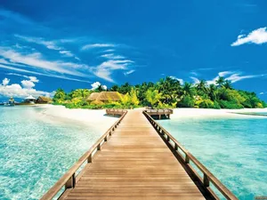 Cute Summer Beach Island Wallpaper