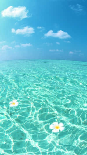 Cute Summer Beach With Clear Waters Wallpaper