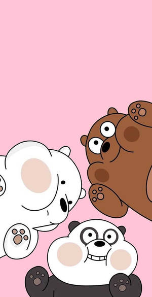 Cute Three Bears Wallpaper