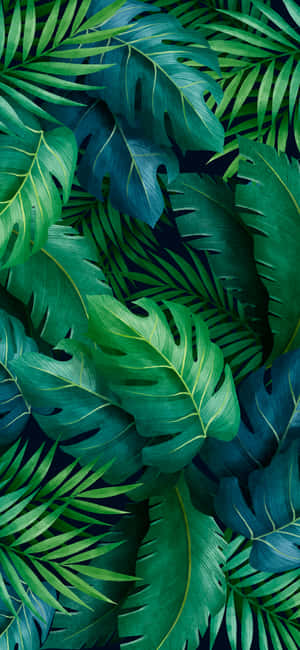 Cute Tropical Leaves Pattern Wallpaper