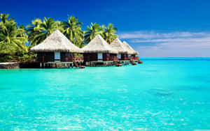 Cute Tropical Thatched Huts Wallpaper