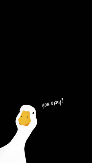 Cute White Duck Android Phone Wallpaper