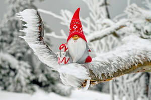 Cute Winter Gnome Wallpaper
