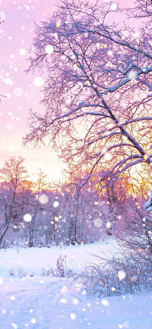 Cute Winter Iphone Tree With Snow Wallpaper