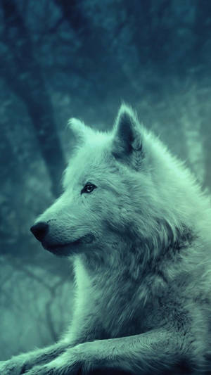 Cute Wolf Portrait Bluish Filter Wallpaper