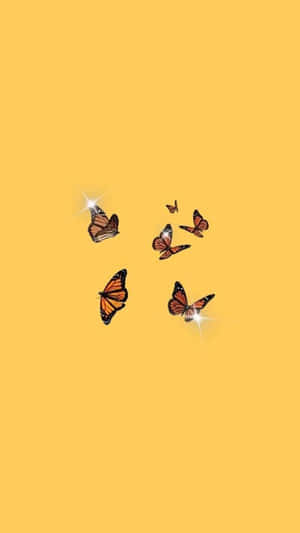 Cute Yellow Black Orange Butterflies Wallpaper