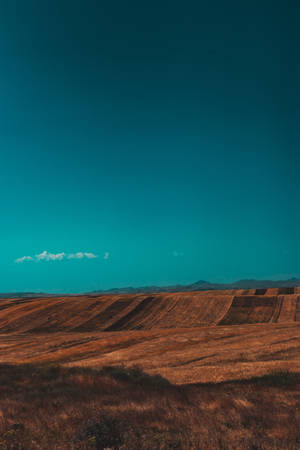 Cyan Sky And Brown Field Wallpaper