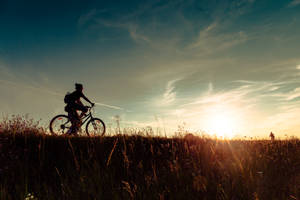 Cycling Field Sunset Silhouette Wallpaper