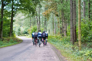 Cycling Group On Forest Road Wallpaper