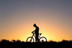 Cycling Man Silhouette Sunset Wallpaper