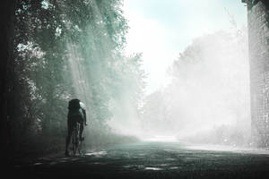 Cycling Road With Sun Rays Wallpaper