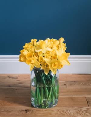 Daffodil Flower Arrangement Wallpaper