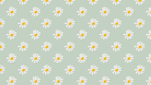 Daisies Sage Green Desktop Wallpaper