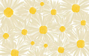 Daisy Aesthetic Computer Artsy Wallpaper