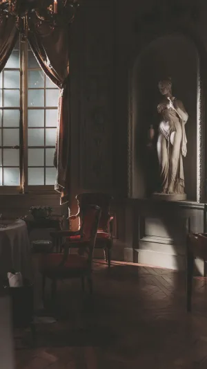 Dark Academia Aesthetic Reading Room Wallpaper