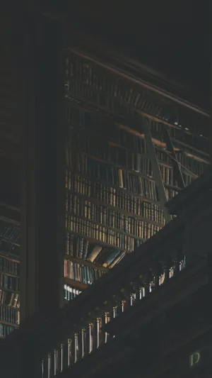 Dark Academia Aesthetic Stacked Shelves Wallpaper