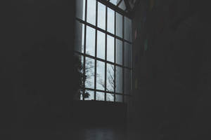 Dark Aesthetic Framed Window Wallpaper