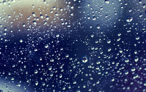 Dark Blue Glass Surface Raindrops Wallpaper