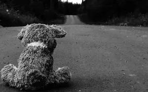 Dark Depressing Abandoned Teddy Bear On The Road Wallpaper