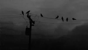 Dark Depressing Birds And Clouds Wallpaper
