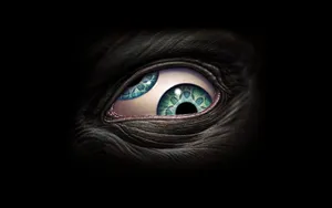 Dark Eye Tool Band Wallpaper