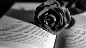 Dark Floral Rose On Book Wallpaper