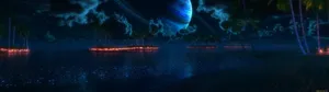Dark Forest Fire 4k Ultra Hd Wallpaper