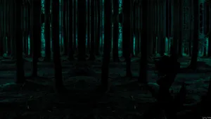 Dark Forest Night Wallpaper