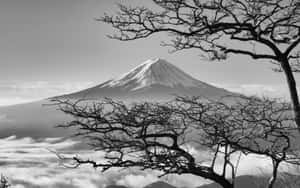 Dark Japanese Mount Fuji With Cherry Blossoms Wallpaper