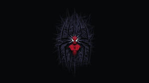 Dark Minimalist Spider Man In Web Wallpaper