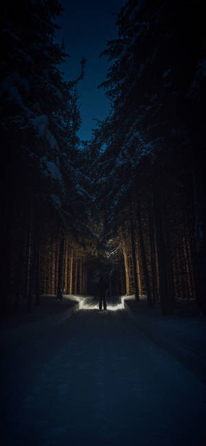 Dark Night In Snow-covered Forest Wallpaper