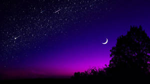 Dark Night With Purple Sky Wallpaper