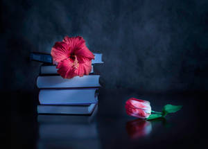 Dark Pink Floral And Books Wallpaper