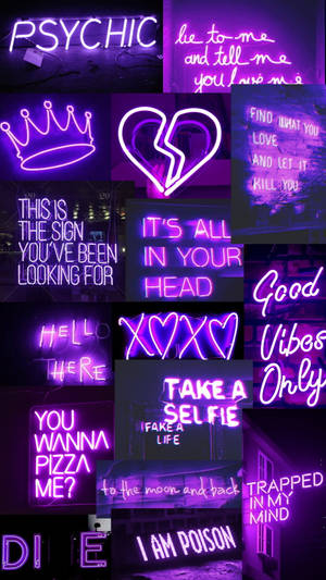 Dark Purple Neon Signages Wallpaper