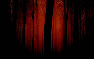 Dark Red Forest Wallpaper