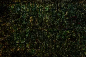 Dark Shades Of Green With An Abstract Grunge Background Wallpaper