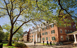 Dartmouth College Dormitory Wallpaper