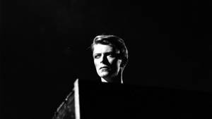David Bowie Greyscale Wallpaper