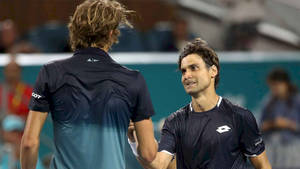 David Ferrer Greeting Opponent Wallpaper