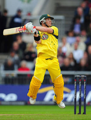 David Warner Leaping Wallpaper