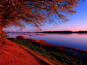 Daybreak At A River In Riga Wallpaper