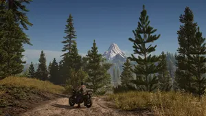 Days Gone In Mountain Wallpaper