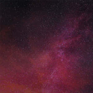 Dazzling Pink Stars Illuminating The Galaxy Wallpaper