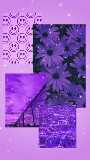Dazzling Purple Flowers Aesthetic Wallpaper