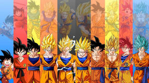 Dbz Son Goku Transformations Wallpaper