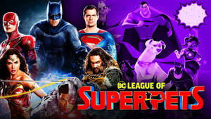 Dc League Of Super Pets With Superheroes Wallpaper