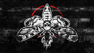 Death's-head Hawkmoth Insect In Solid Black Wallpaper