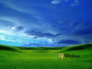 100 Free Windows Vista HD Wallpapers & Backgrounds 
