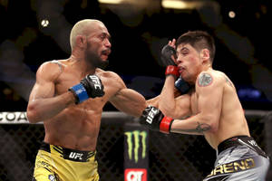 Deiveson Figueiredo Punching Brandon Moreno Wallpaper