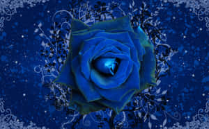 Delicate And Beautiful Blue Rose Wallpaper